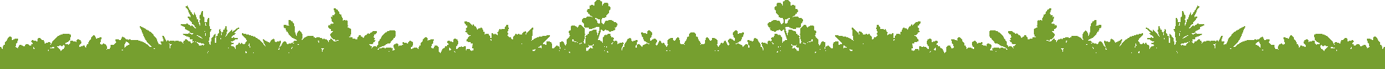 fdPlantasVerde